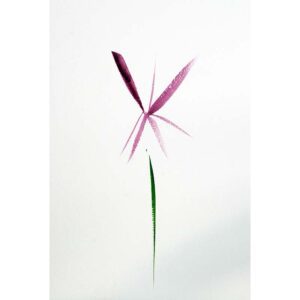 #7 Flower Simply-Lori