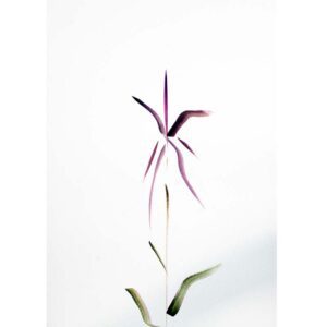 #8 Flower Simply-Lori