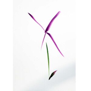 #9 Flower Simply-Lori