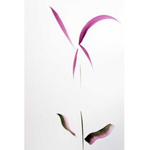 #2 Flower Simply-Lori