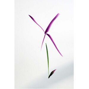 #3 Flower Simply-Lori